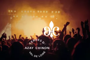 Concerts du Bowie Festival