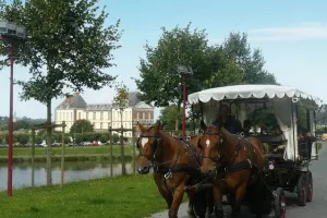 Les balades en calèche de l'été