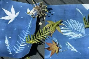 Découvrez la technique du cyanotype