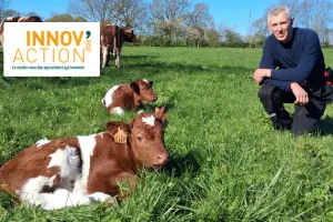 INNOV'ACTION - Journée viande bovine (53)