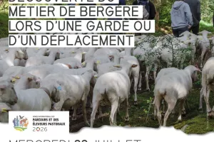 Apéro-pasto à Vassivière : Découverte du métier de bergère