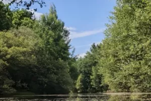 Les Chemins d'éléonore