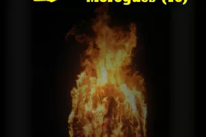 48ème Feu de St Jean