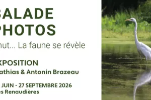 Balade Photos 2026