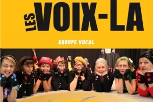 LES VOIX CI LES VOIX LÀ