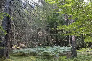 SÉJOUR NATURE ET CONSCIENCE
