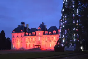 Journée spéciale Noël au Château de Cheverny