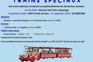 Train spécial pour l'évènement AMTF