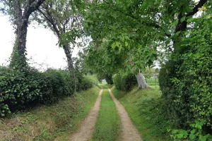 Vie de village et de quartier - Chef-Boutonne