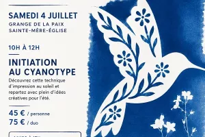 Atelier découverte du cyanotype