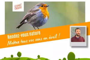 Rendez-vous Nature - Une forêt d'histoires
