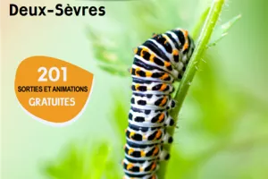SORTIES NATURE : SCIENCES EN FAMILLE : LE POUVOIR DES FLEURS