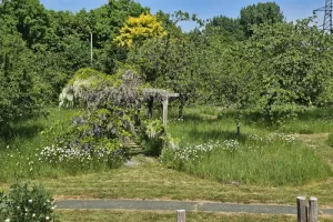 VISITE DU VERGER DU PUYTHOUCK