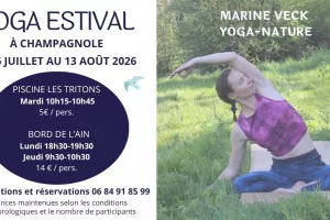 Cours de Vinyasa yoga en nature