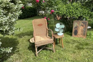 VIDE MAISON - "BROCANTE AU JARDIN"