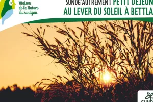 Petit-déjeuner au lever du soleil à Bettlach