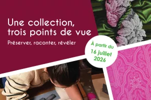 Une collection, trois points de vue
