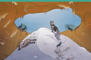 Conférence: "Les petites bêtes à poils de l'Igue du Gral, habitants inattendus Quercy ?"