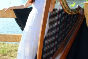 Lawena de Brocéliande