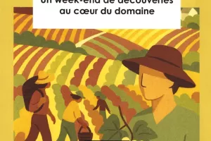 Vendanges Ouvertes