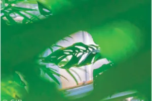 Voyage tropical et désertique