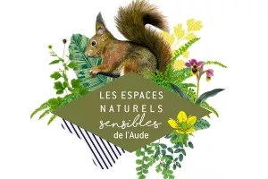 ENS - PROMENONS-NOUS DANS LES BOIS