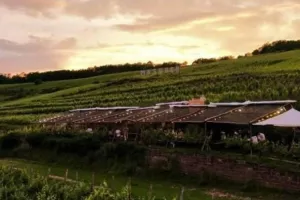 Expériences Mossig & Vignoble : Cheval et Bistrot Champêtre