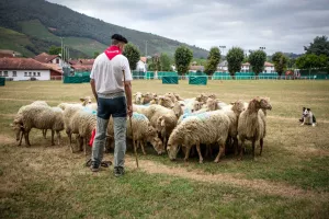Foire gastronomique et artisanale et concours de chiens de berger