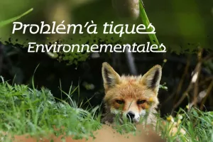 Domaine de Certes et Graveyron : ciné débat - Les problèmes ' à tiques