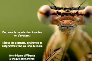 Mystères au jardin