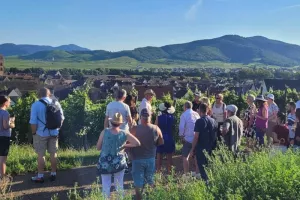 Apéro gourmand au domaine Tappe