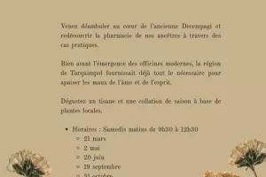 Plantes et remèdes à Decempagi