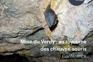 [Conférence] Mine du Verdy : au royaume des chauves-souris