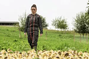 Portes ouvertes à la découverte des producteurs de Foie gras à Mauries