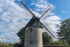 Marché des producteurs, visite du moulin, vente de pain de campagne