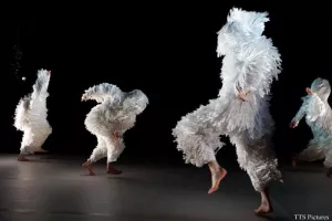 Danse - A4 (comme la feuille)