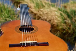 CONCERT DE TRIO ALFA