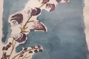 Exposition : Aquarelles