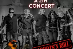 Les Parrots'n roll en concert à Najac !