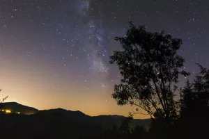 UN ÉTÉ AVEC LE PARC : LA NUIT RÉVÉLÉE