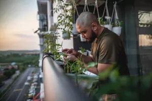 Végétaliser son balcon avec Pistyles