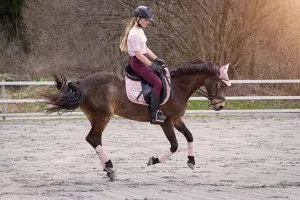 Stage d'équitation - Galop 4 et +