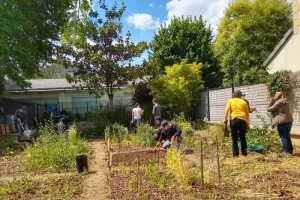 Atelier bouturage