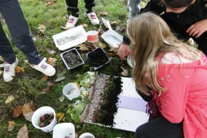 Atelier découverte pour enfants (8-11 ans)