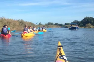 Sortie "La pointe ou Leyre et Delta" en canoë avec Amazone