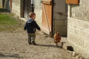 La matinée des bébés, histoire et exploration des cabanes