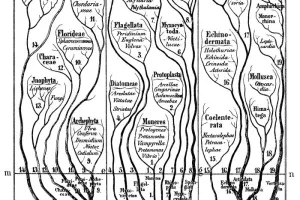 Nommer le vivant, dire le monde