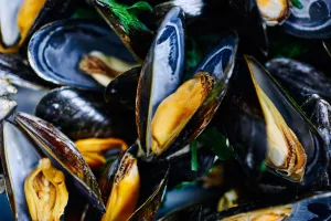Concert : Duo Fusion + moules frites