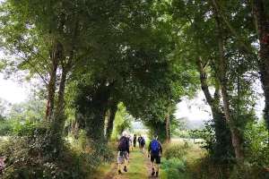 Randonnée de l'été