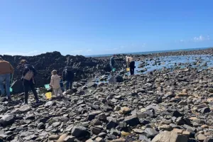 Découverte de la pêche à pied